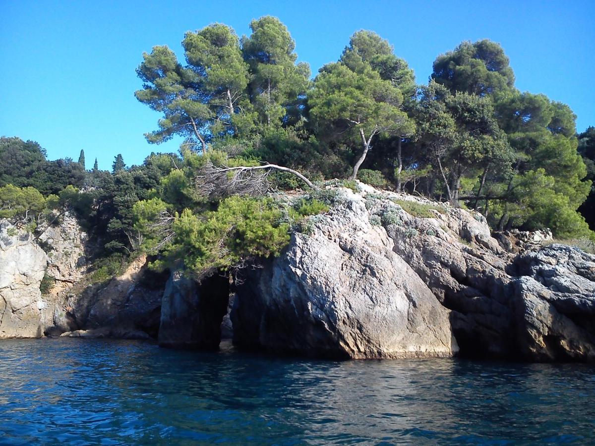 Mansard Apart Alba - Sea 5 Terre-Trekking-Excursions-Relax San Terenzo Buitenkant foto